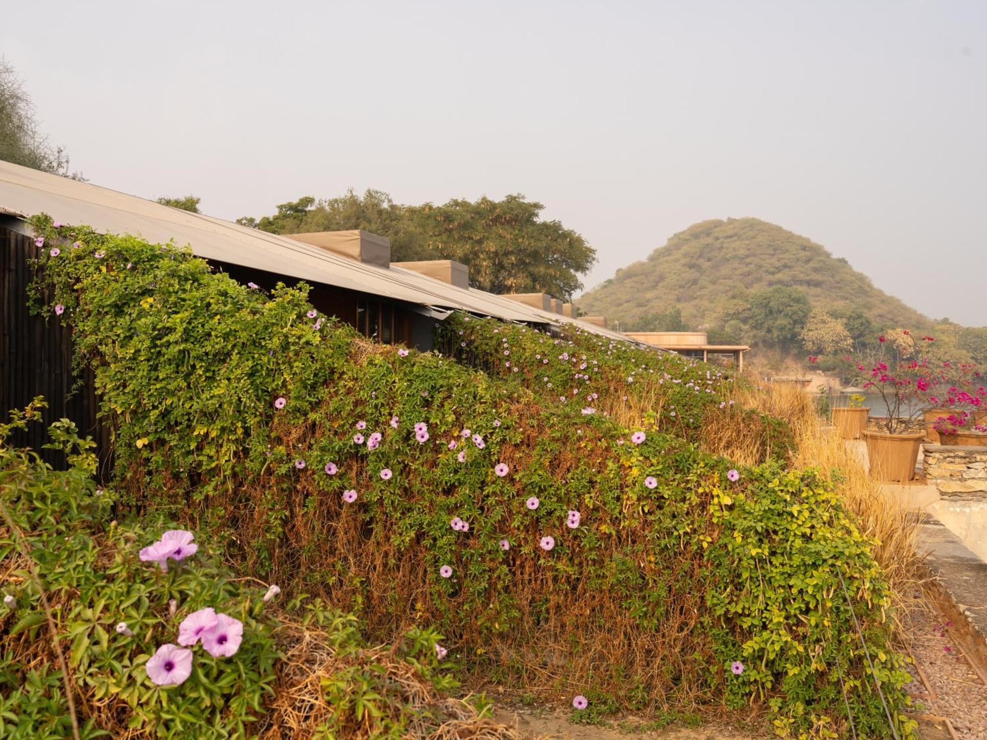 Raas Chhatrasagar, Nimaj, District Pali Dış mekan fotoğraf